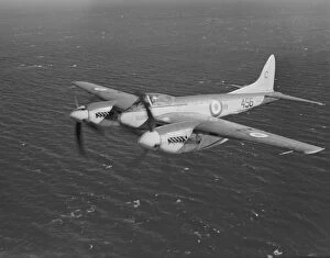 Royal Navy Gallery: De Havilland Sea Hornet F.20