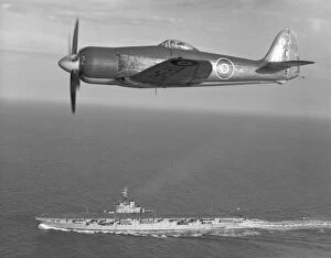 Aircraft Carriers Collection: Hawker Sea Fury FB. 10