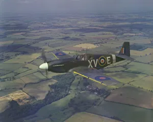 Images Dated 7th March 2008: North American Mustang