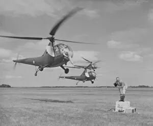 Display teams Collection: Sikorsky Hoverfly II helicopters dressed up as elephants