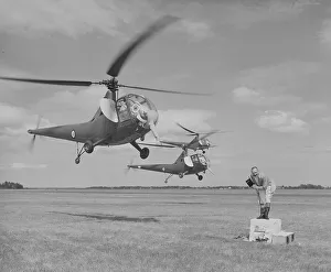 Display teams Gallery: Sikorsky Hoverfly II helicopters dressed up as elephants