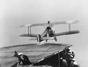 World War Two Collection: Sopwith 2F1 Ships Camel