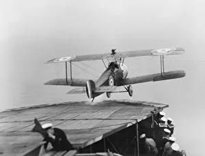 Images Dated 16th May 2008: Sopwith 2F1 Ships Camel