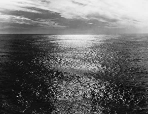 Miscellaneous Gallery: Sunset