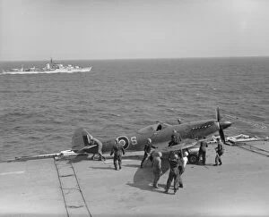 Royal Navy Collection: Supermarine Seafire F. 17