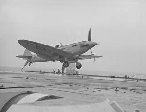 Aircraft Carriers Gallery: Supermarine Seafire F.15