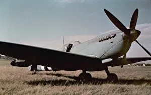 Supermarine Spitfire XI