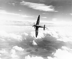 Royal Air Force Collection: Supermarine Spitfire XIV