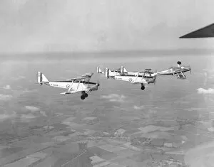 Interwar Gallery: Tiger Moth I aircraft of the Central Flying School