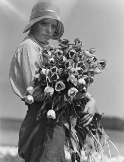Interwar Gallery: Tulip picking in Lincolnshire