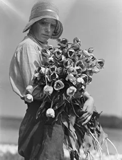 People Gallery: Tulip picking in Lincolnshire