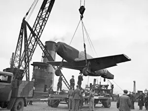 Images Dated 18th January 2011: Unloading Mustangs in Liverpool